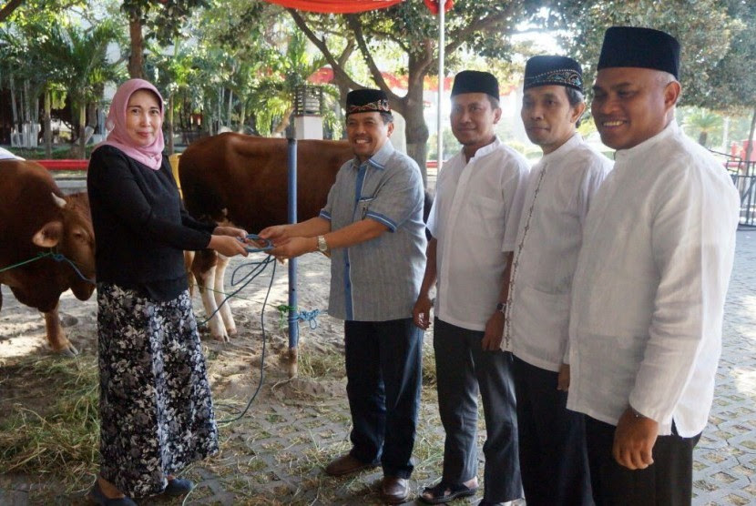 Semen Indonesia Salurkan 199 Hewan Kurban  Republika Online