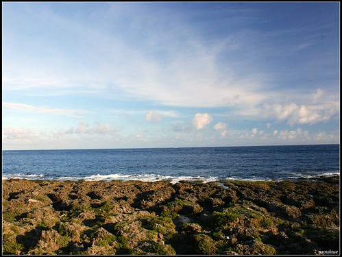 DSC02612