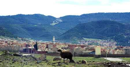 Grand sud maroc - Azrou - Atlas