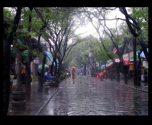 Image result for mưa trên phố