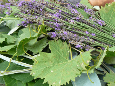 lavande et feuilles de vigne.jpg