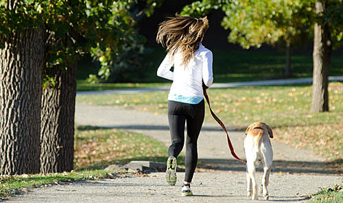 犬の散歩にダイエット効果はあるのか 痩せるためのテクニック6つ ちょいため