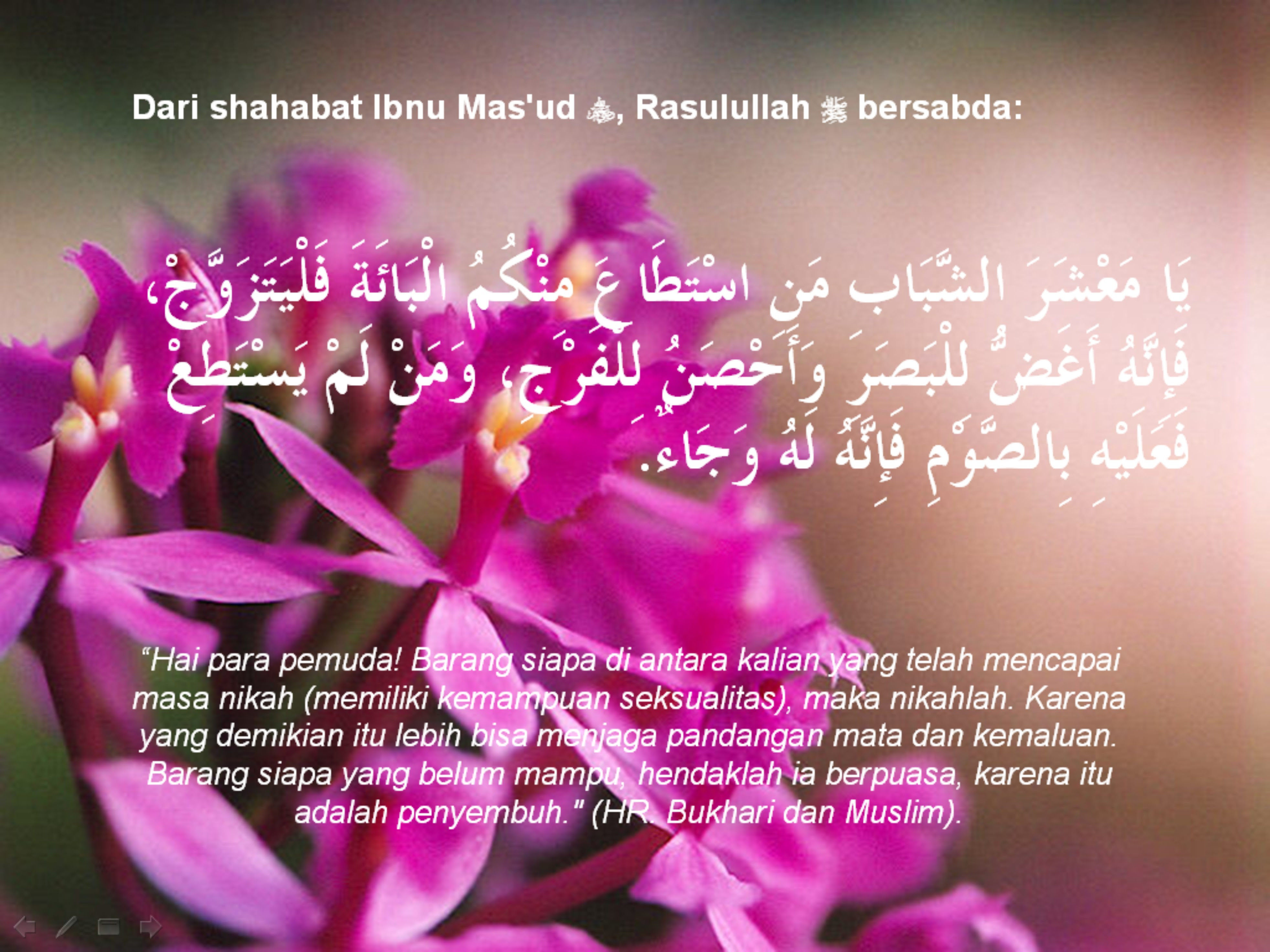 Kata Ucapan Selamat Pernikahan Nuansa Islam Naranua