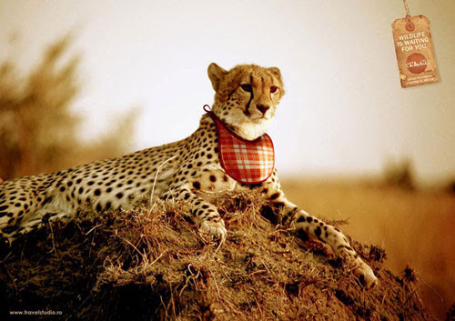 Travel-Studio Advertisement Ideas: 500 Creative And Cool Advertisements