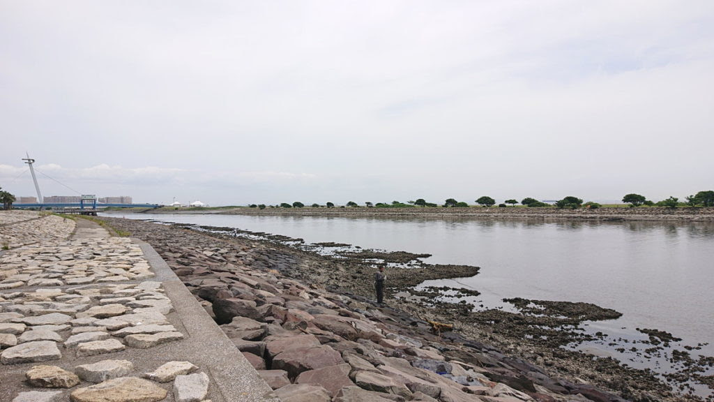 葛西臨海公園の釣り情報 Chigyo Fishing