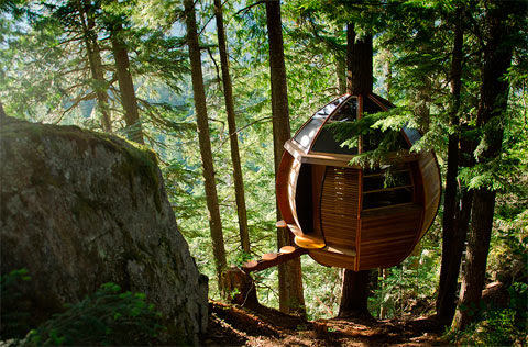 Architecture Home Design on Treehouse Design  Inspiring Treehouse Ideas   Busyboo