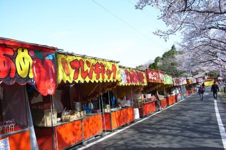 新境川堤 桜祭り 各務原市民公園横 工房布由のアレやコレ 楽天ブログ