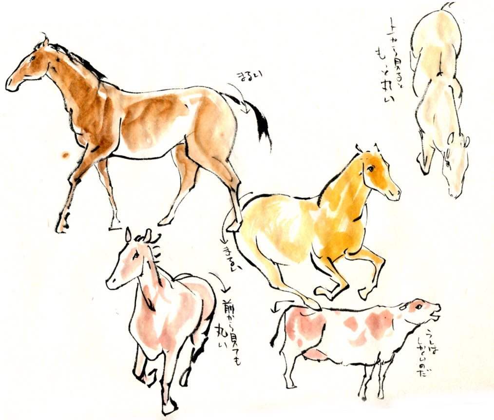 馬の描き方
