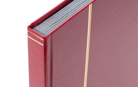 Free Read Einsteckbuch BASIC 32, rot: 32 schwarze Seiten, unwattierter Einband, rot Get Books Without Spending any Money! PDF
