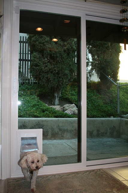 Sliding Glass Door with built in Doggie Door | Flickr - Photo Sharing!