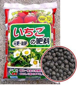 園芸用 いちごの肥料 トップ