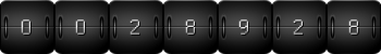 page hit counter