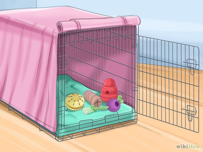 Crate Train Your Dog or Puppy Step 4 Version 3.jpg