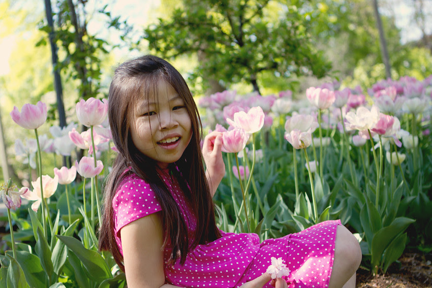 tulips 2