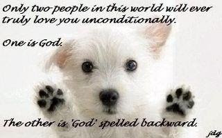 dog's love