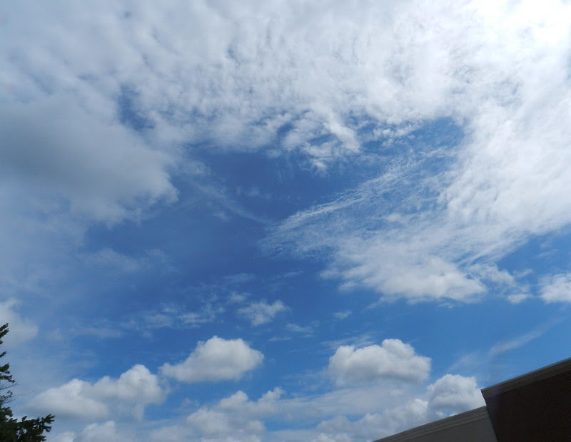 skywatfcDSCN1598