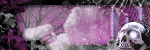 Scrapbookgraphics