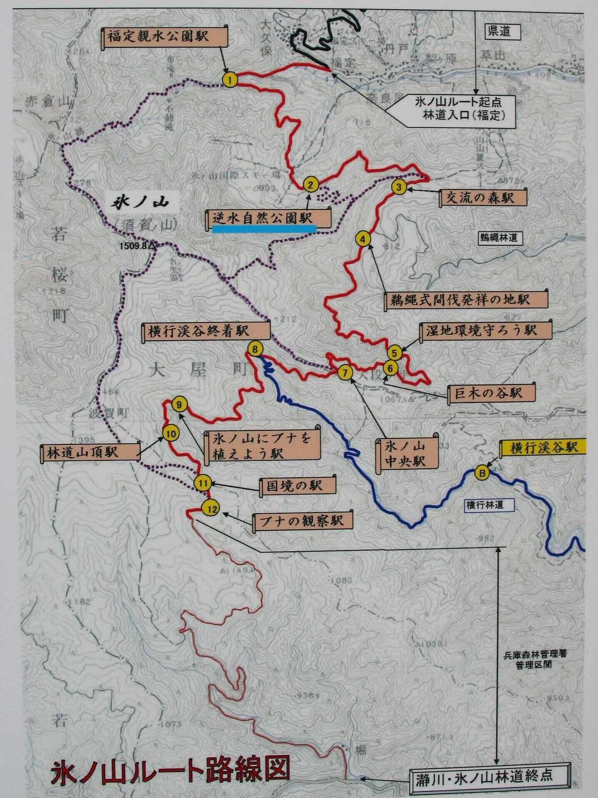 氷ノ山の紅葉 兵庫県最高峰の山 写真集 無料写真素材