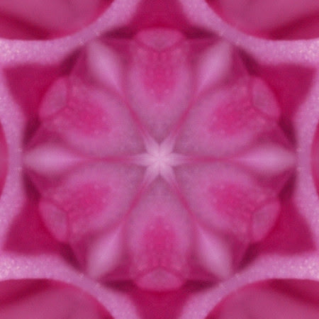 hyacinth snowflake