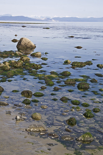 low low tide