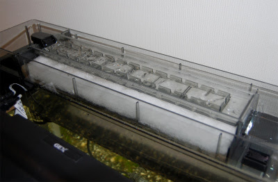 Web限定 ジェックス ウェット ドライろ過槽 水槽装飾品 Hlt No