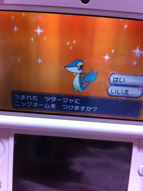 色違いに釘付け ジャローダ Xy