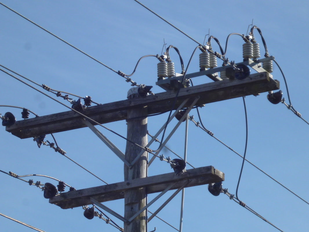Katikati Electrician For All Your Electrical Needs Home