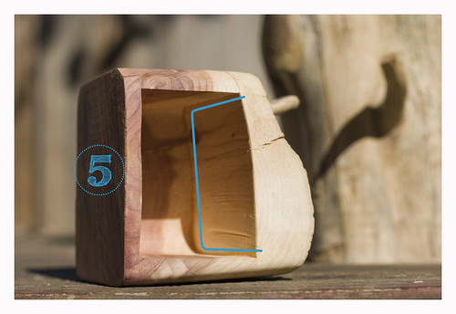 step5