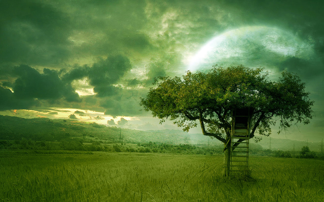 beautiful-nature-desktop-wallpaper1