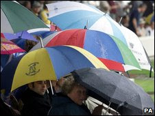 Umbrellas in the rain