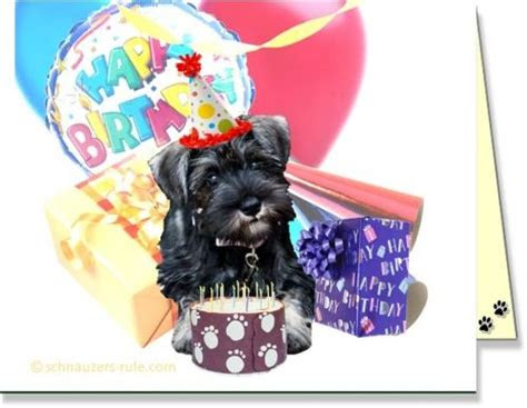  schnauzer birthday greetings birthday e card dog ecard schnauzer