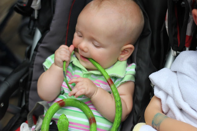 Snakes on a Stroller