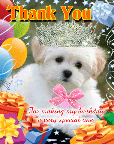 A Cute Thank You Birthday Card. Free Birthday Thank You eCards | 123 Greetings