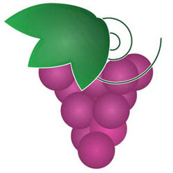 ぶどうイラスト フリー素材f10