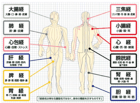 石野整体院 内臓が原因の痛み