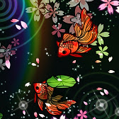 影遊虹桜金魚 弐 和風 幻想壁紙