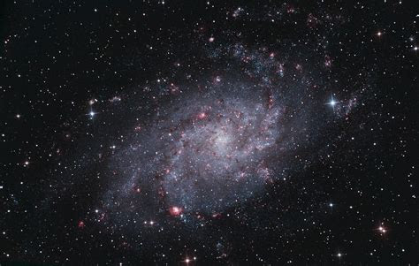triangulum galaxy wikipedia