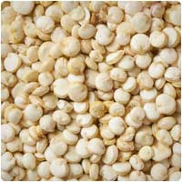 quinoa
