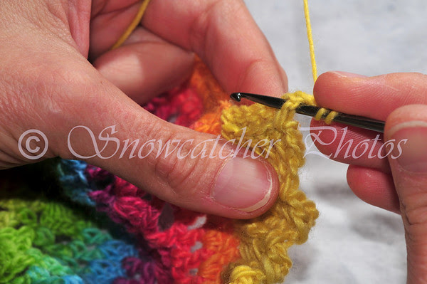 Don't forget to do the first stitch on each row.