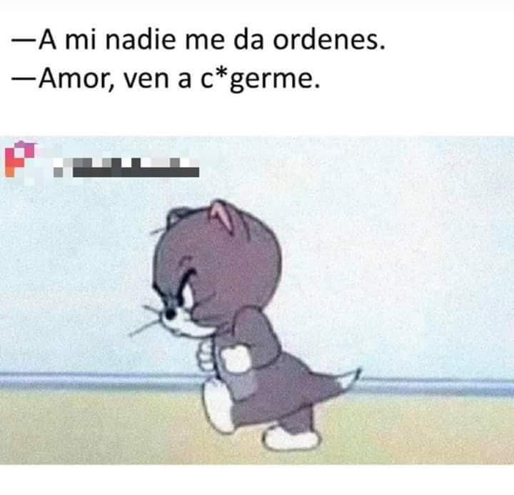 Si Mi Amor Meme By Laloooo Memedroid