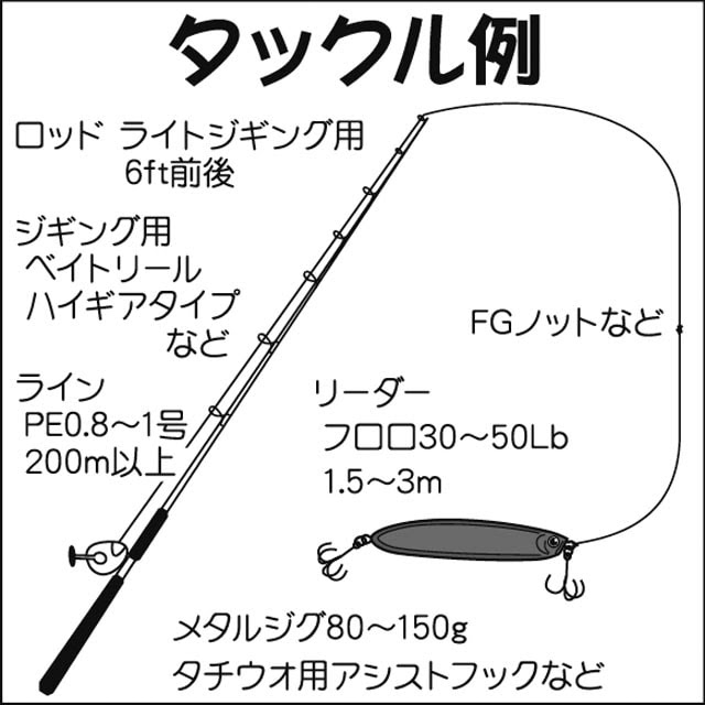 タチウオジギングを攻略 船釣りの基本タックル 釣り方 解説 Tsurinews
