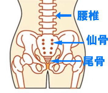 カイロプラクティック カイロプラクティック メモ こうどう通信