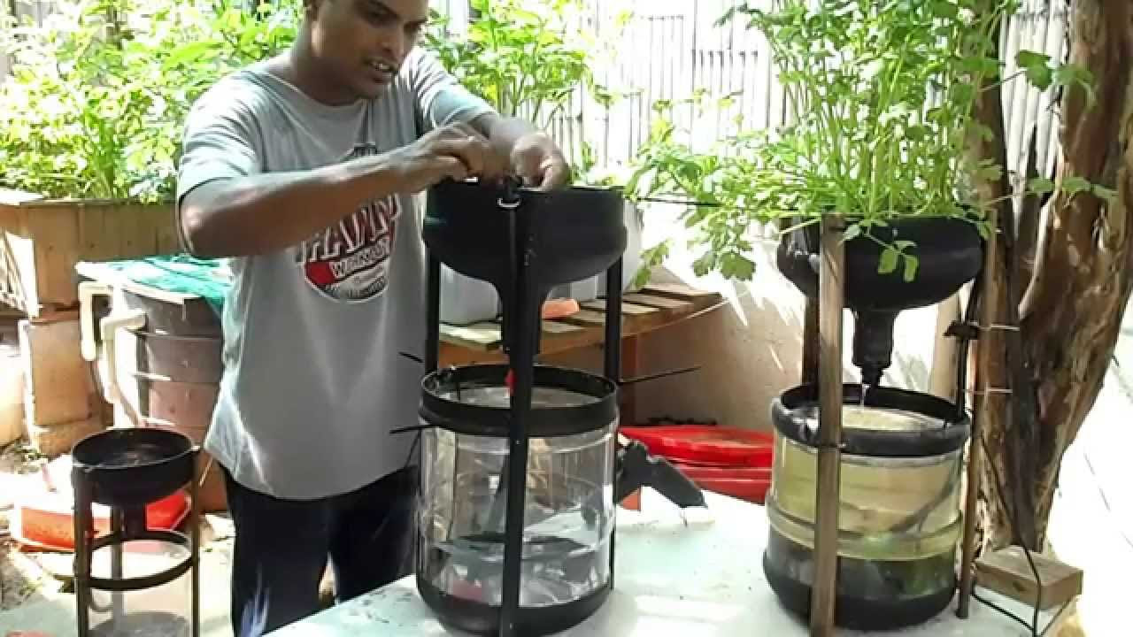 Miniponics DIY Aquaponics for under 10$ - YouTube