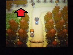 隠し穴隠し穴の場所と出現ポケモン ポケモンbw2攻略ga Mo
