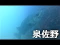 √99以上 泉佐野漁港 釣り 169727-泉佐野漁港 釣船