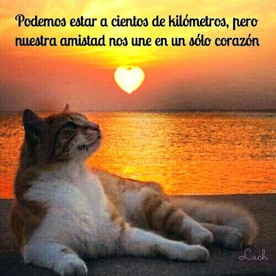 Frases De Amor Y Amistad En La Distancia