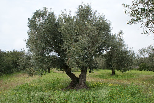 DSC02690