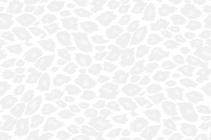 豹柄 ヒョウ柄 Aの壁紙イラスト 条件付フリー素材集 壁紙tank