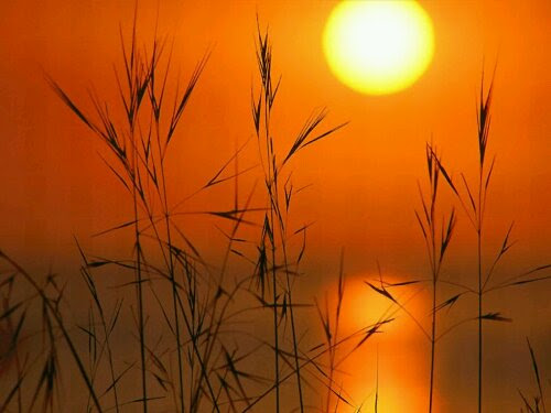 wpid-sunset17.jpg