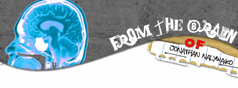 From my brain to your computer